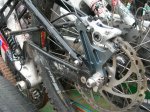 DSCN5574.jpg