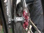 DSCN5575.jpg