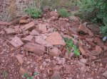 DSCN5578.jpg