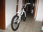 mirraco 001.jpg