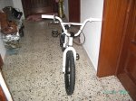 mirraco 006.jpg