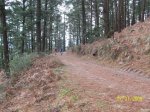 100_1382.jpg