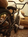DSC08855.jpg