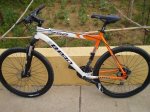 bici foro.JPG