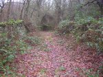 PARAMO 009.jpg