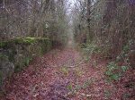 PARAMO 010.jpg