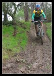 img0517ue9[1].jpg
