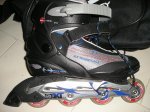 PATINES.JPG