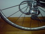 DSC00305_.jpg