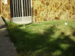 PICT0122.jpg