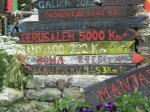PICT0452.jpg
