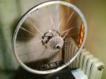 bicis 013.jpg
