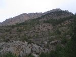 IMG_0508.JPG