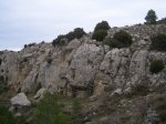 IMG_0510.JPG