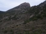 IMG_0515.JPG