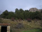 IMG_0528.JPG