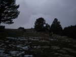 IMG_0543.JPG