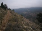 IMG_0564.JPG