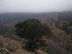 IMG_0565.JPG