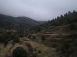 IMG_0578.JPG