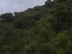 VALL D'UIXÃ-AIGUALITS-PIPA (5).jpg