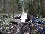 DSC01935.jpg