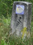 PICT0535.jpg