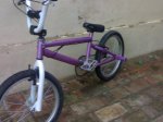 bmxxxx.jpg