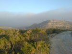 DSC00222.jpg
