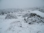 DSCF0276.JPG