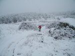 DSCF0277.JPG