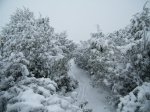 DSCF0279.JPG