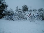 DSCF0281.JPG