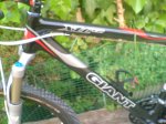 giant 023.jpg