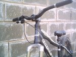 PICT0122.jpg