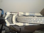 DSC00668.JPG