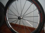 DSC01020.jpg