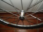 DSC01021.jpg
