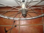 DSC01022.jpg