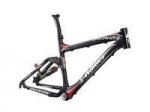 specialized.jpg