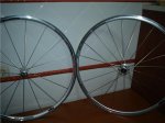 Rueda Shimano.jpg