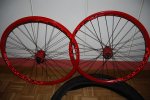 DSC_0437.comprimida.JPG