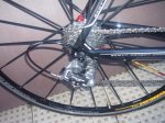 BICI (4).jpg