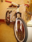 IMGP0795.jpg