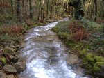 DSCF2081.jpg