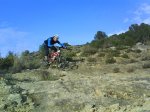 DSC00295.jpg