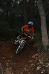 DSC_0380.jpg