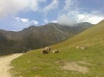 Pirineo1.jpg