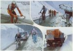 Gavia1988[1].jpg