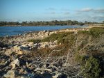 Cap Salines. des 006.jpg